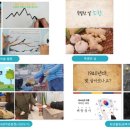 치매예방, 실버인지놀이지도사 양성과정 이미지