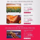 이케이컴퍼니