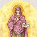 펠릭스의원 이미지