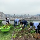 청소년상담복지센터(본관) 이미지