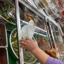 이화돌산갓김치 이미지