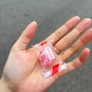 일본인학교 | [홍대스프카레] 카무이 홍대점 . 삿포로스프카레 찐 스프카레맛집 후기 일본여행감성 홍대맛집