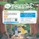 명상요가 이미지