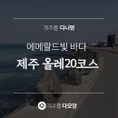 다모앙제주