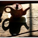 사람과 자연 이미지