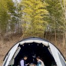 담양금성산성 오토캠핑장 이미지