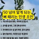 오!해피데이