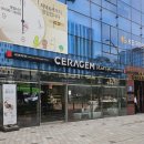 세라젬 마곡점 | 세라젬 안마의자 러그 세트 웰카페 파우제M6 마곡직영점 솔직후기