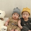 완도둥이맘