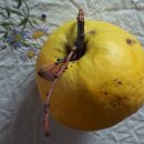 늘솔길민박 이미지