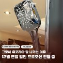 유포리아(Euphoria) | 그로헤 유포리아 Euphoria 110 마사지 3기능 핸드샤워기 추천!