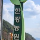 해오름풀꽃 티스토리