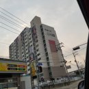 애플파크장 네이버블로그