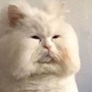 오아스한의원 이미지