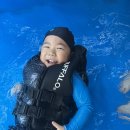 어푸어푸 이미지