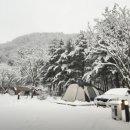 산정호수돌고래캠핑장;관광농원 이미지