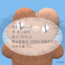 주짓수·복싱 이미지