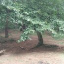 신송약수터 이미지