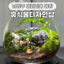 씨유 오남스윗점 | 남양주 이색데이트 :: 테라리움 원데이클래스 공방, 휴식물디자인샵