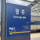 첨성로4(남) | [경주] 봄내음 가득 안고 행복속으로