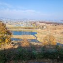 행정사사무소 손길 이미지