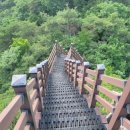곡성-131 Daum카페