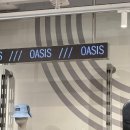 즐거운 색연필화 | 겁없는 쥐: 큰 쥐나 고양이에게 겁 없이 다가감. 기억력 손상