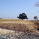 왕궁리유적 이미지