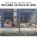 148_241008_birdflu positive in panther and tigers 이미지