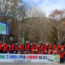 일화시골손두부 네이버블로그