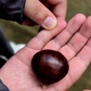 힐링캠프A | 텐트 없어도 오케이 국립속초 등산학교 힐링캠프 스포츠클라이밍 체험까지 완벽 후기