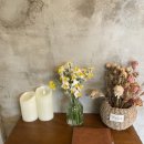 스테이 리네 이미지