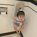 (주)젤미 이미지