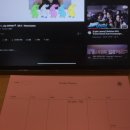 해변은 사랑의 모스 그린