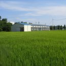 김영수농장 이미지