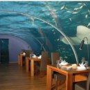 몰디브호텔 이미지