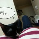 콩냥콩냥 - 계룡시 번영9길 26 | 콩냥콩냥