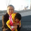 김양수「매미」 이미지