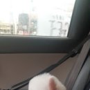 메씨엘리 이미지