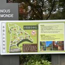 917 | [장성 카페] 백양사 수목원 카페 크리스마스 데이트 애견동반 카페 루몽드917 내돈내산 후기