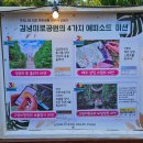 김녕관광지 | 제주 동쪽 관광지 추천 김녕 미로공원 찐 후기 !!!