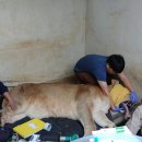 전주동물원 이미지