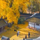 전주향교 이미지