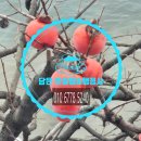 BEST 행정사 사무소 이미지