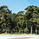 자연숲 펜션 이미지