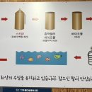 시흥드림바다 낚시터 이미지