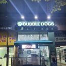 그루밍독스 | [서창동 셀프 애견목욕카페] 버블독스 내돈내산 후기