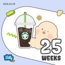 포유플러스마트 | 👼🏻| 임신일기 08 | 25~28주차마지막 중기일기_입체초음파, 유니클로임산부팬츠,임산부칼마디,주수거울...