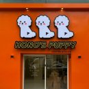 퍼피에몽 강아지분양 시흥본점 | 송도강아지분양 책임감 가지고 강아지 입양한 후기 인천강아지분양 홍스퍼피