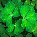 국제 행정사 사무소 이미지